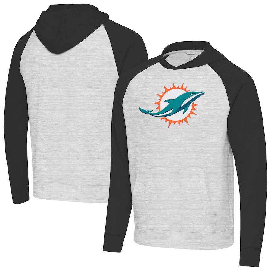 Men 2025 NFL Miami Dolphins hoodie